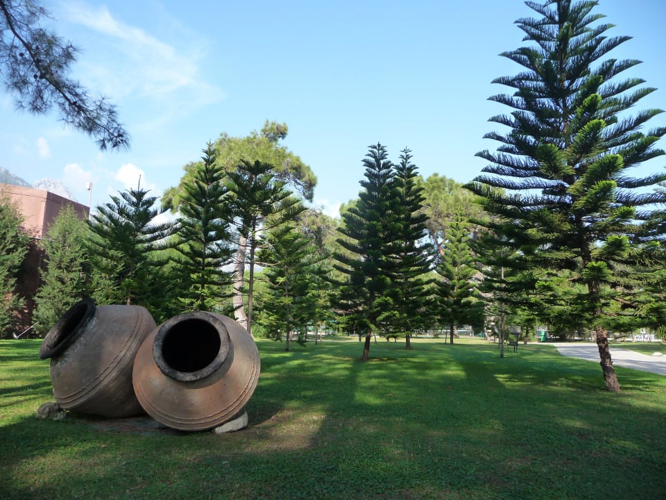 Details Balmy Foresta