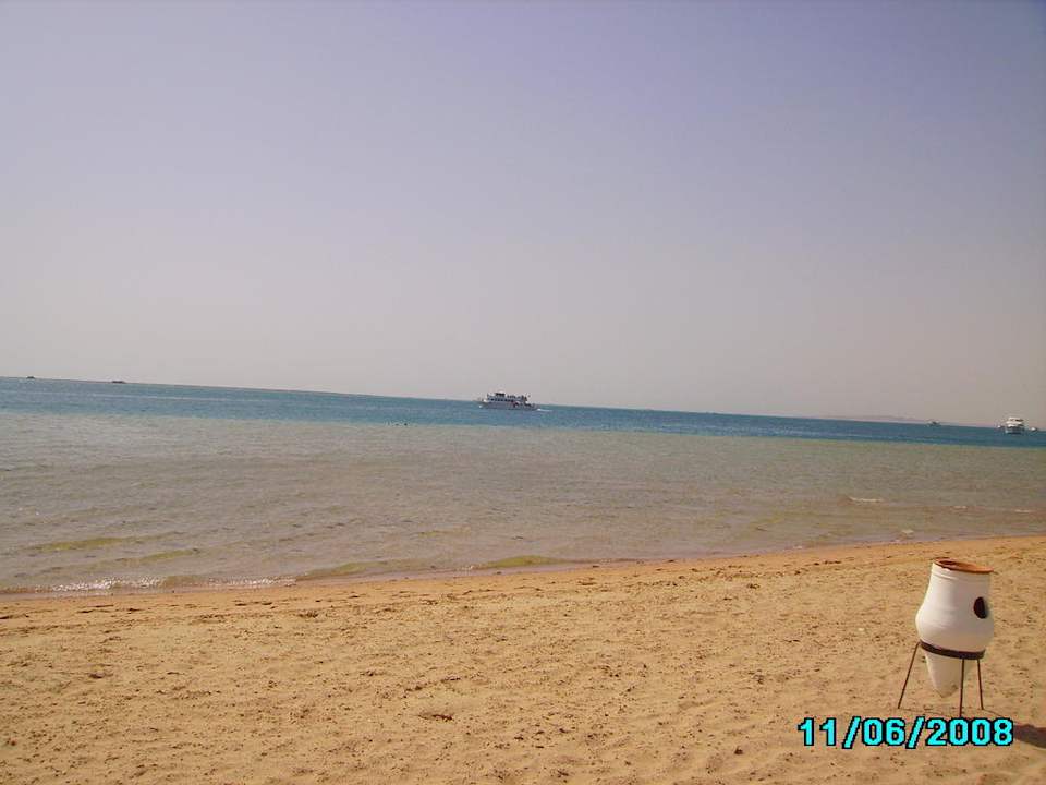 Seezunge Giftun Azur Resort