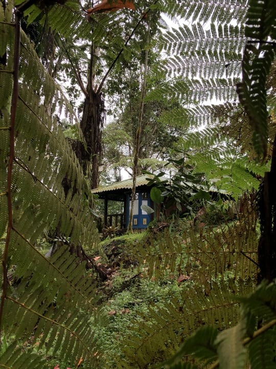 Gartenanlage Hotel Sachatamia Lodge