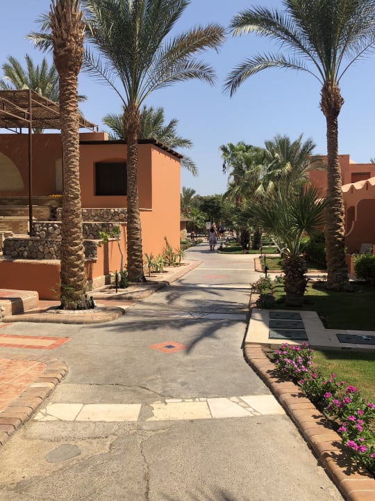 Gartenanlage Jaz Makadi Oasis Resort