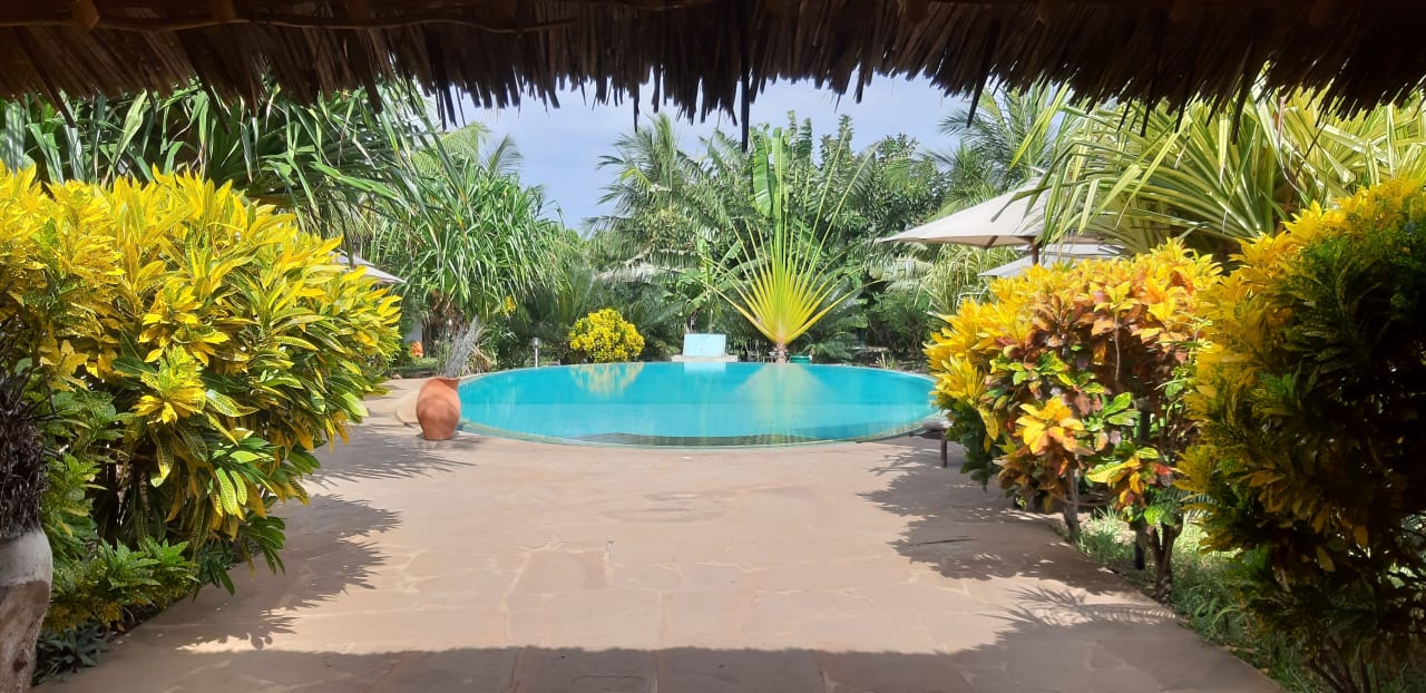 Pool African Dream Cottages