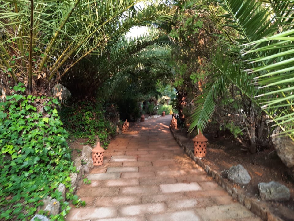 Gartenanlage Lago Garden