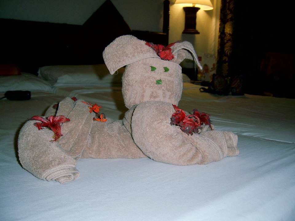 Kunstwerk aus Handtuch Hotel Riu Bambu