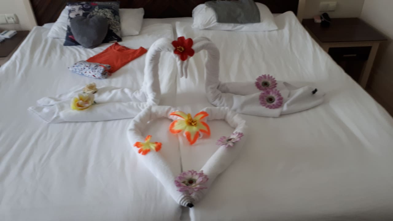 Zimmer Aydinbey Kings Palace & Spa