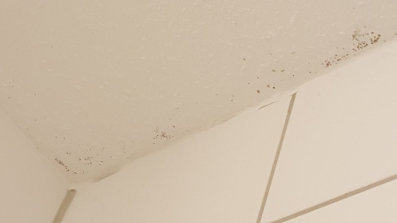 Zimmer Waldhotel Tannenhäuschen