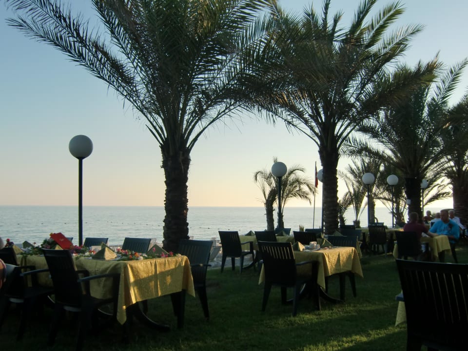 "Special Dinner" an der Strandbar Hotel Yetkin