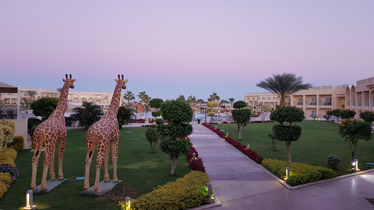 Ausblick Pickalbatros Royal Moderna Resort-Sharm El Sheikh