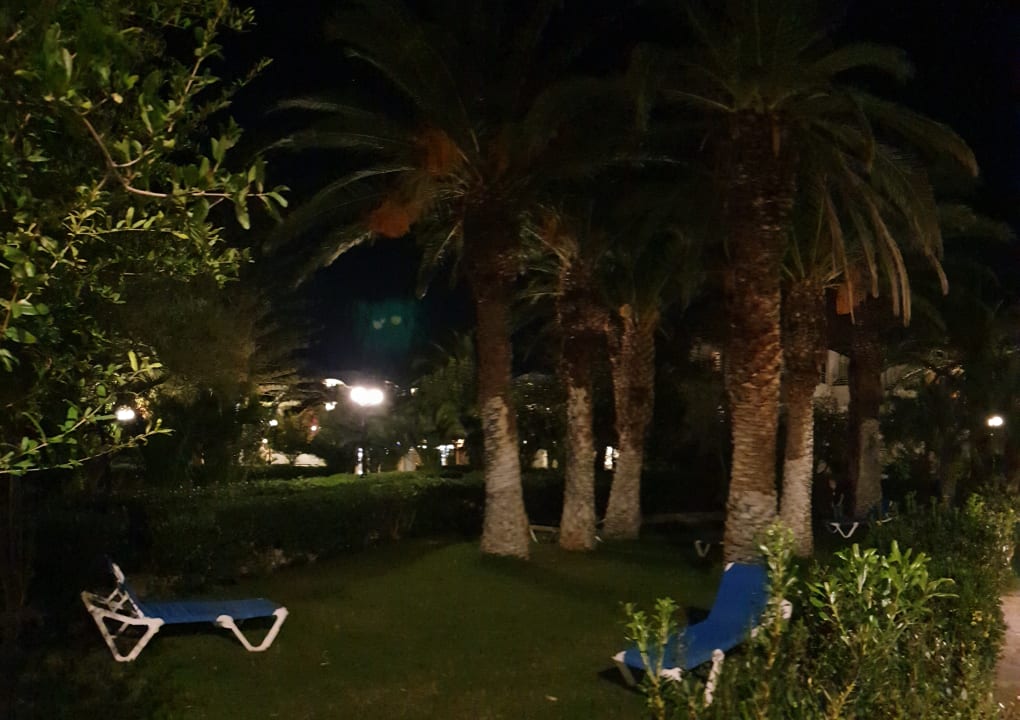 Gartenanlage Apollonia Beach Resort & Spa