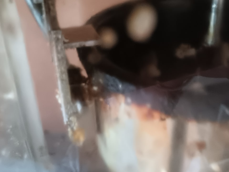 Gastro Seaden Sea World Resort & Spa