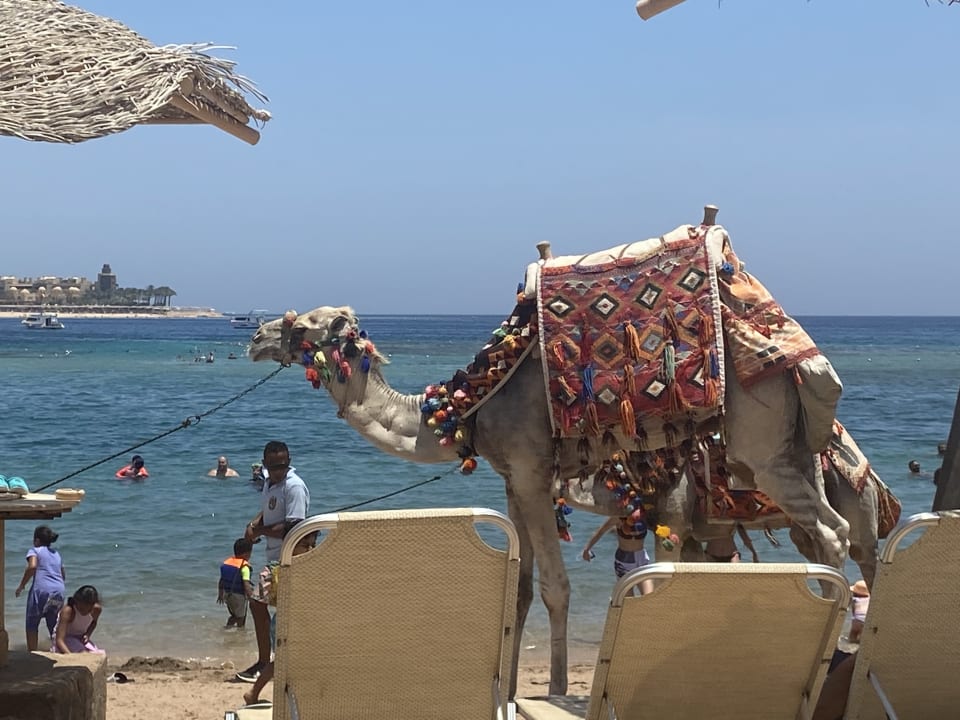 Strand Jaz Makadi Oasis Resort