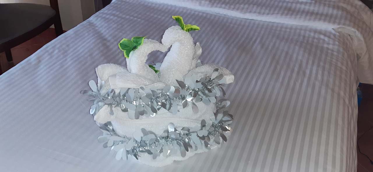 Zimmer Three Corners Sea Beach Resort