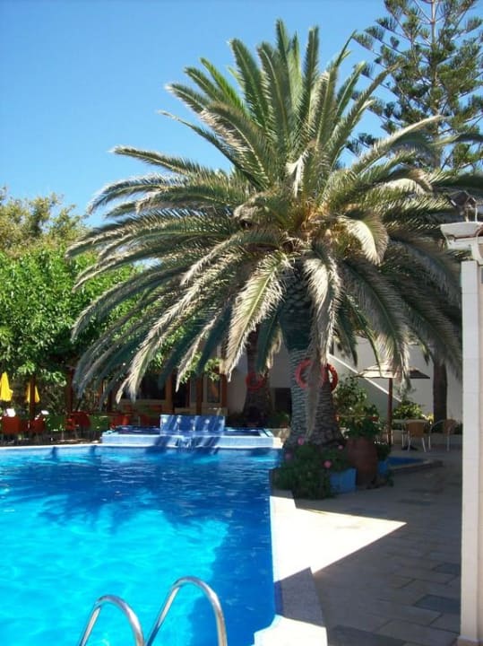 Pool vom South Coast Hotel South Coast