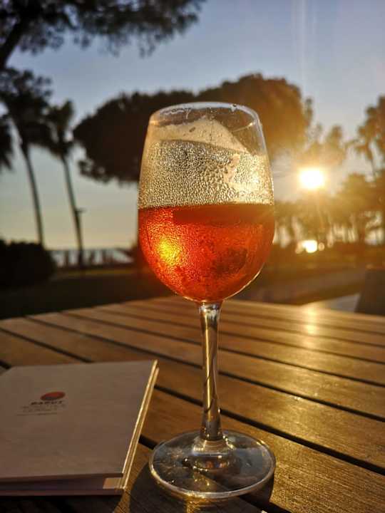 Gastro Acanthus Cennet Barut Collection