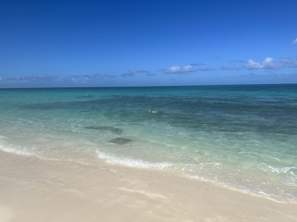 Strand Paradisus Rio de Oro Resort & Spa - Adults only