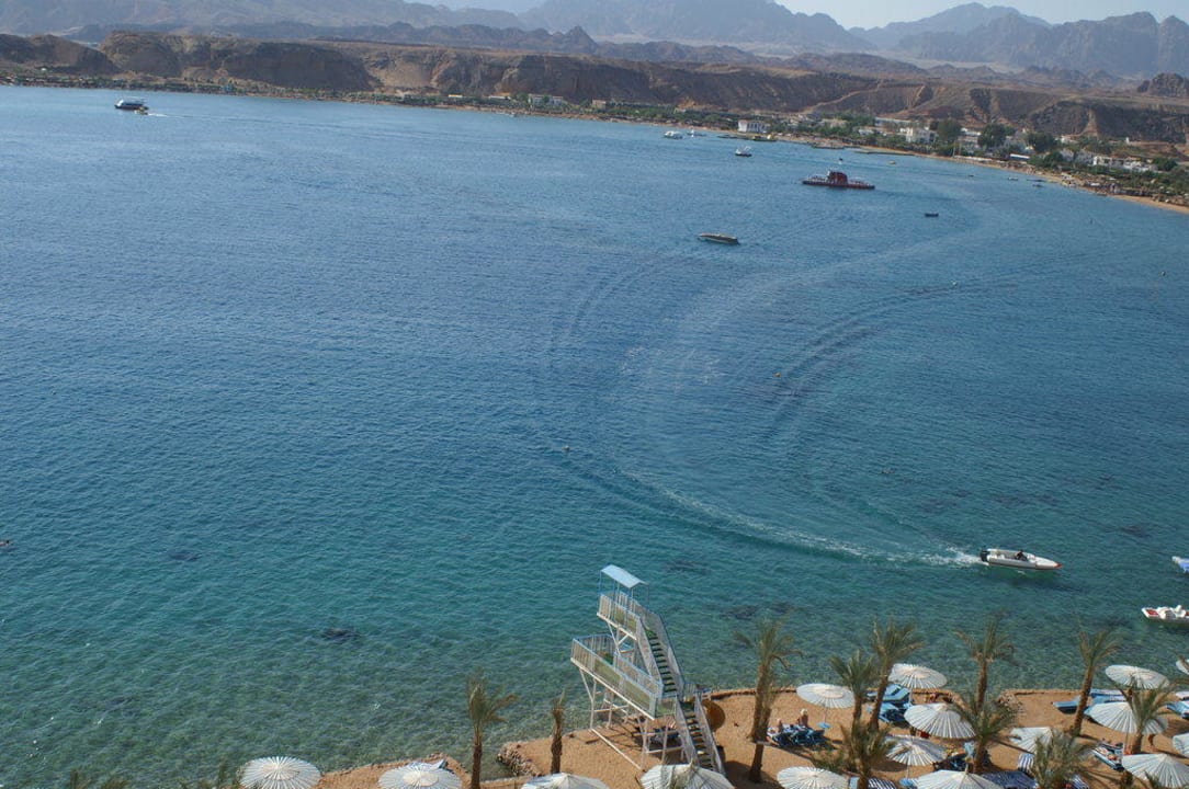 Ausblick Albatros Sharm Resort