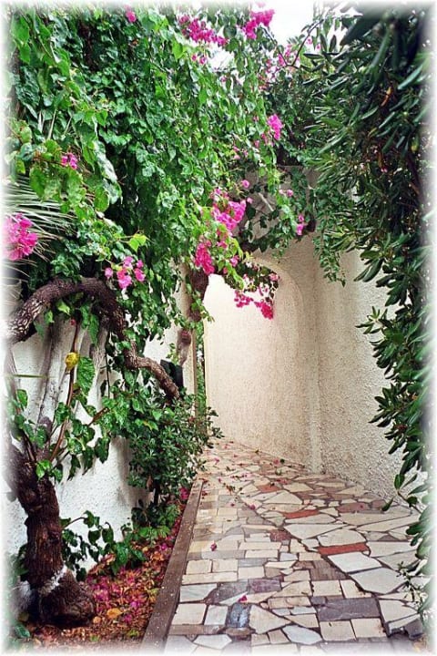 Apollonia Beach Apollonia Beach Resort & Spa