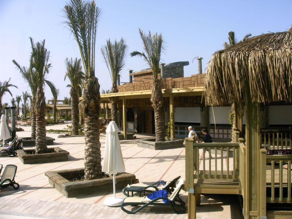 Essen und Trinken Royal Wings Hotel