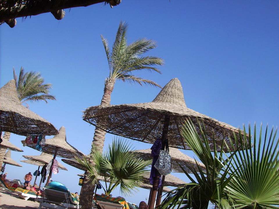 Traumhafter Strand Giftun Azur Resort