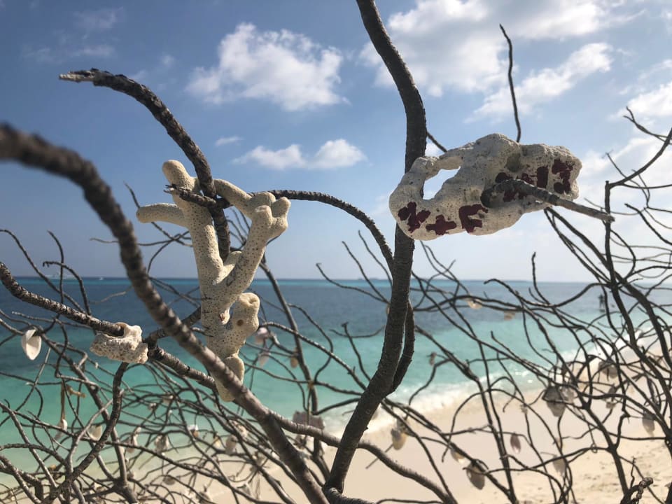 Strand Kuredu Island Resort & Spa
