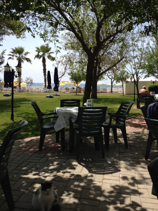 Strandbar Hotel Gardenia Beach