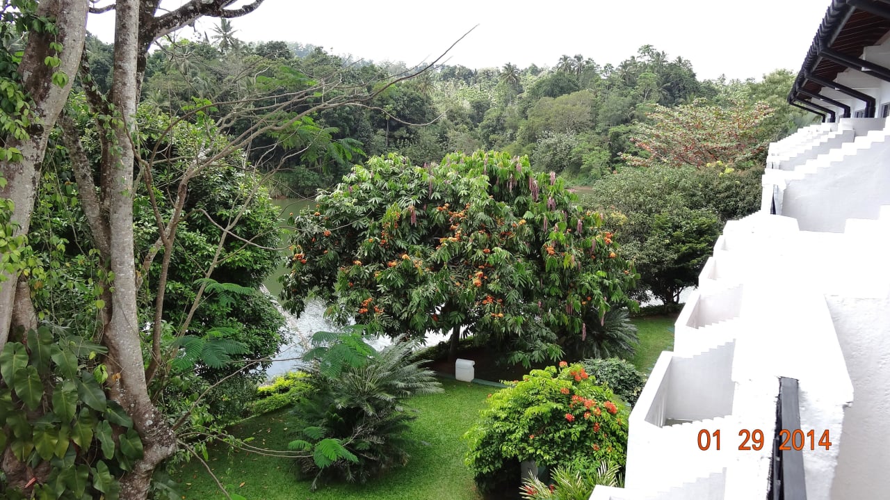 Blick vom Deluxe-Zimmer zum Fluss Hotel Cinnamon Citadel Kandy