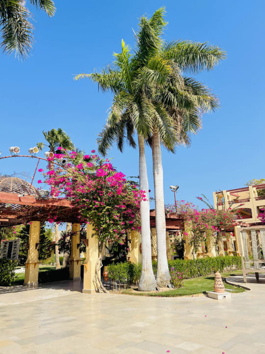 Gartenanlage ROBINSON SOMA BAY