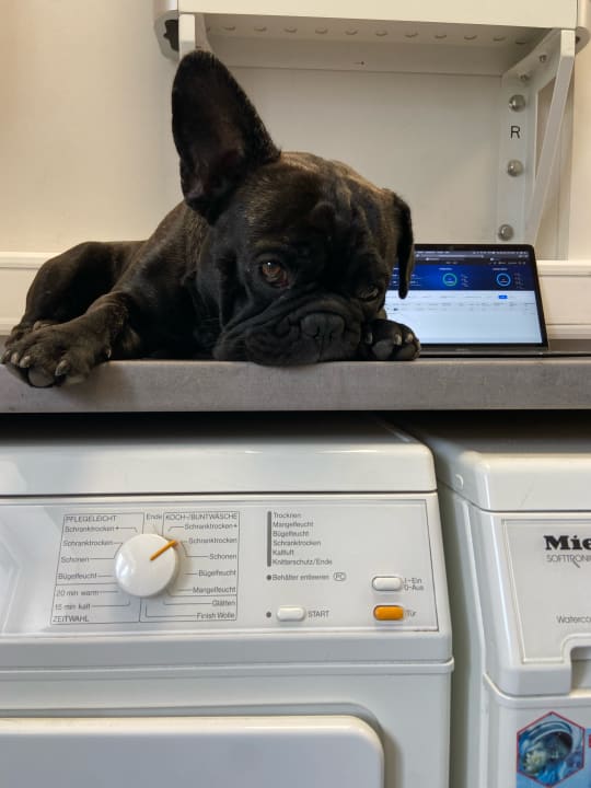 Sonstiges Hotel Reetdachhaus Gräftendiek Drei