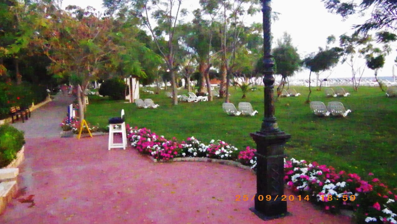 Blick zum strand Labranda Alantur Resort