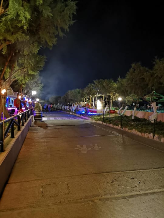 Sonstiges Anissa Beach & Village