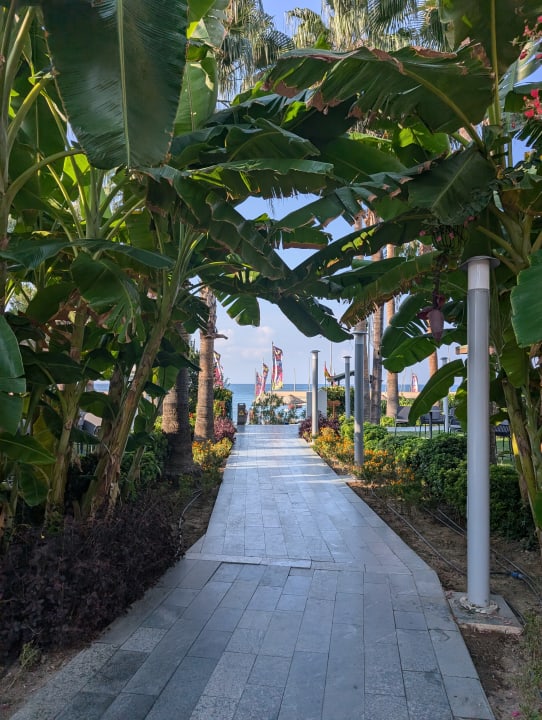 Strand Arycanda Kirman Premium