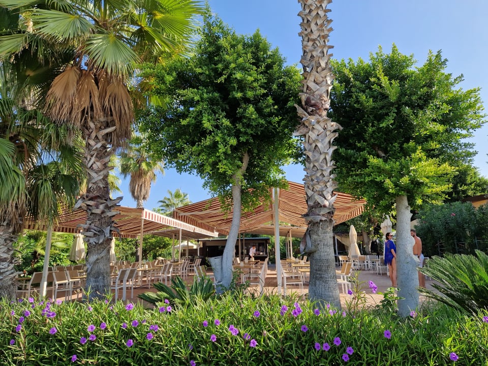 Gartenanlage Seaden Corolla Hotel