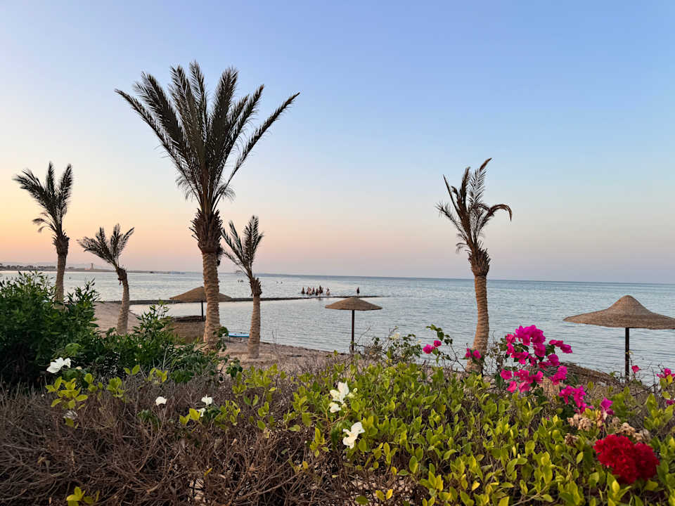 Ausblick Hotel Sweet Home