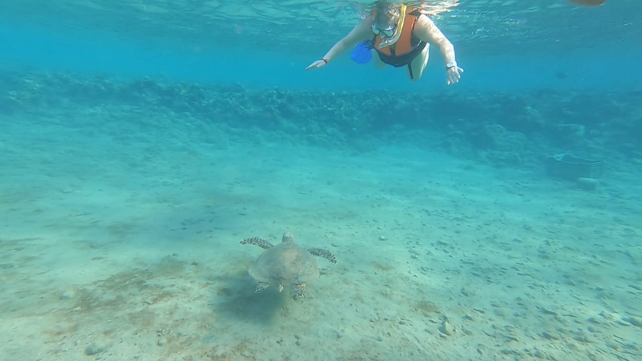 Sport & Freizeit Three Corners Equinox Beach Resort