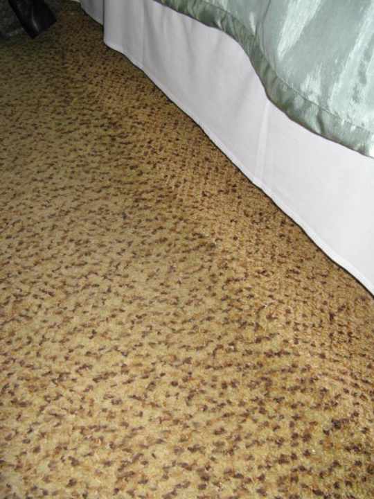 Wykładzina Hotel Tulipan