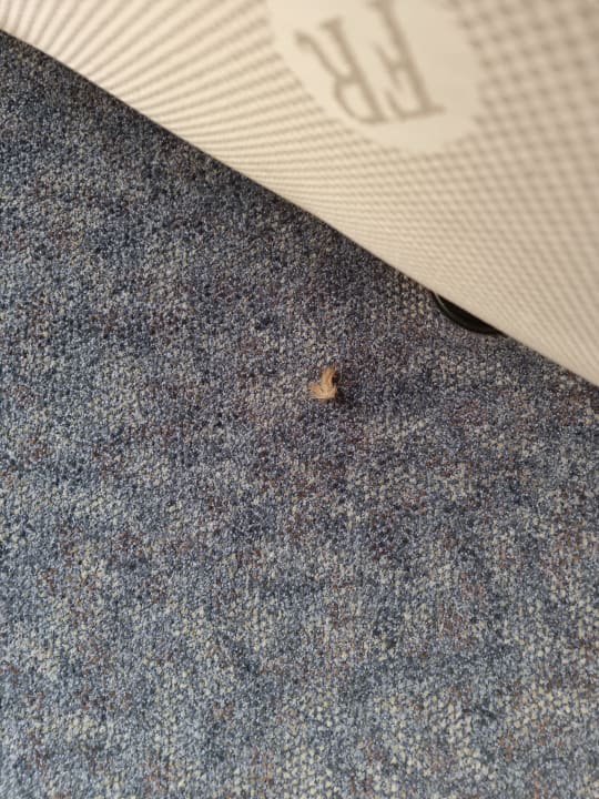 Zimmer Lindner Hotel Cottbus