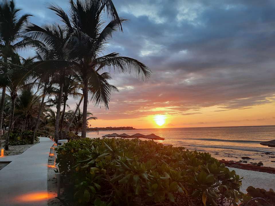 Gartenanlage Akumal Bay Beach & Wellness Resort