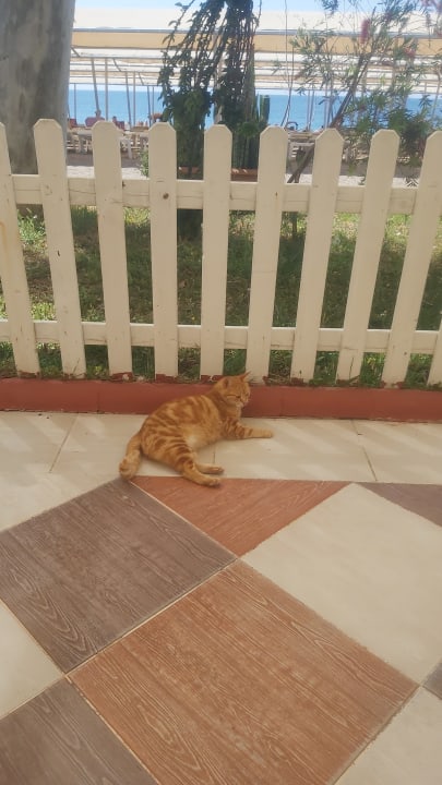 Sonstiges Mira Meridia Beach Hotel