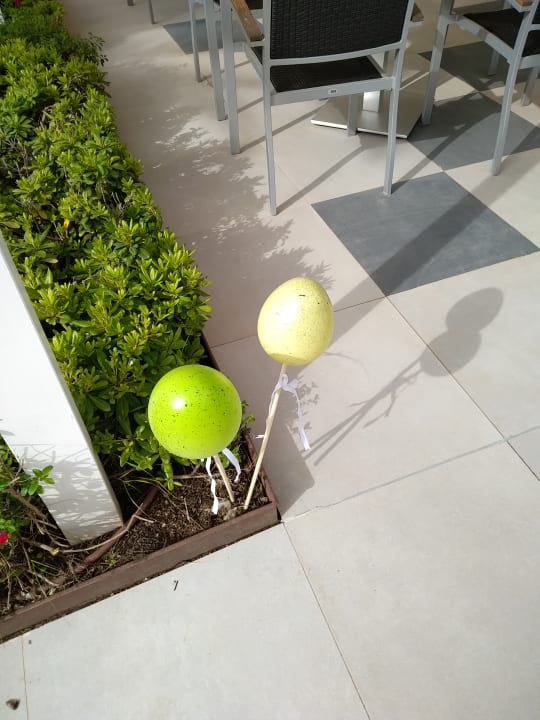 Gartenanlage Millor Sol