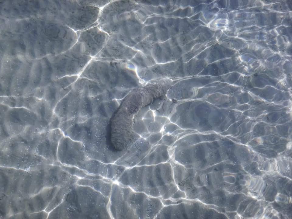 Strand Cleopatra Luxury Resort Makadi Bay