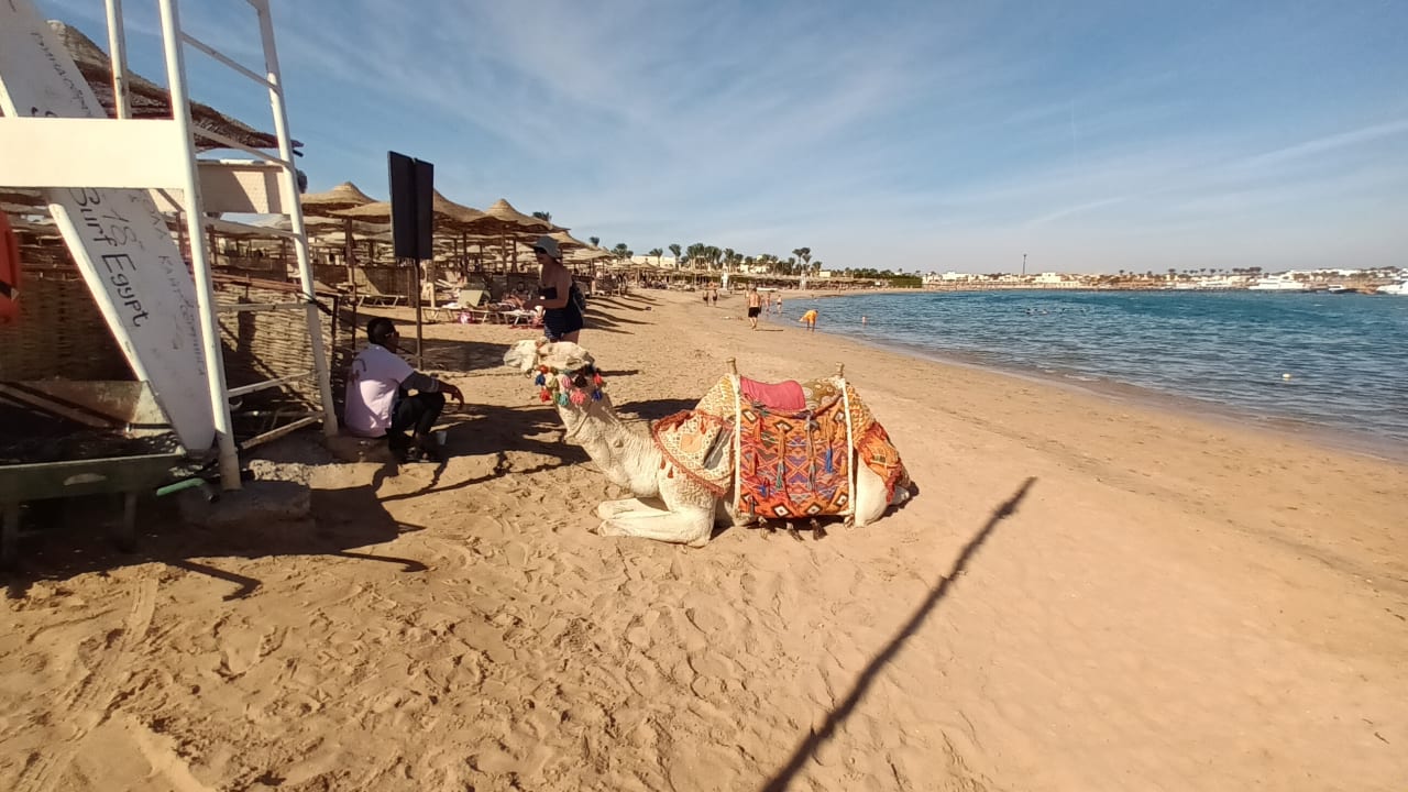 Strand Jaz Makadi Oasis Resort