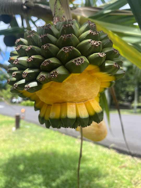 Sonstiges Maritim Resort & Spa Mauritius