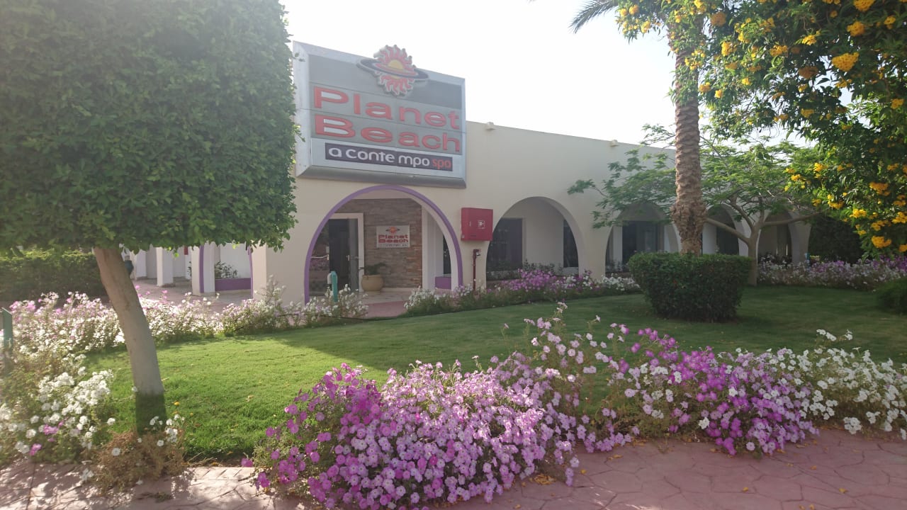 Sport & Freizeit Desert Rose