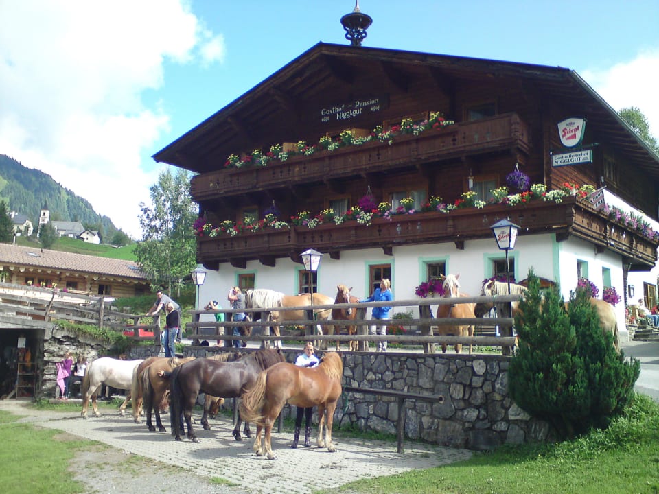 Fertig machen zum Ausritt... Hotel Nigglgut