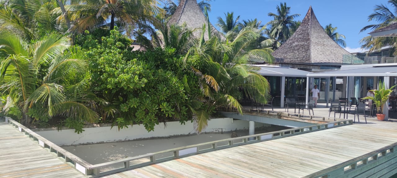 Gastro Kuramathi Maldives