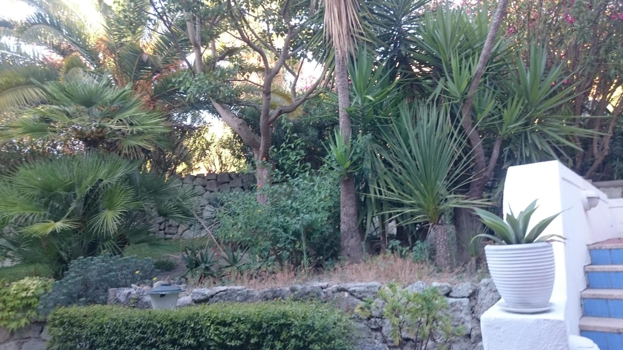 Garten Hotel Paradiso Terme Resort & SPA