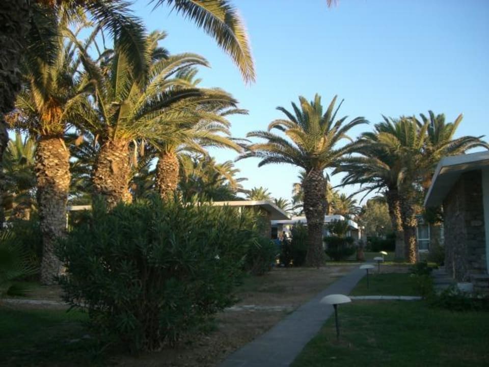Palmengarten Civitel Creta Beach