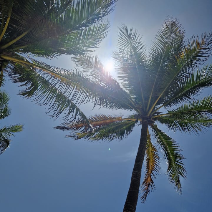 Ausblick Catalonia Royal Tulum Beach & Spa Resort - Adults only