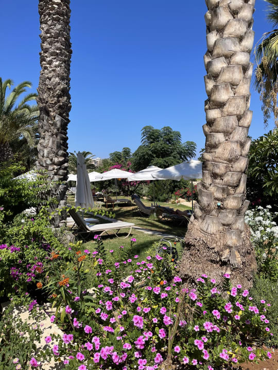 Gartenanlage Crystal Springs Beach Hotel