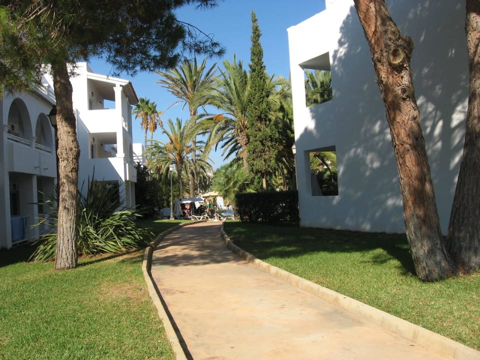 Seitlicher Gang zur Anlage Calimera Fido Gardens