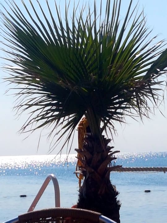 Sonstiges Hotel Delphin Imperial